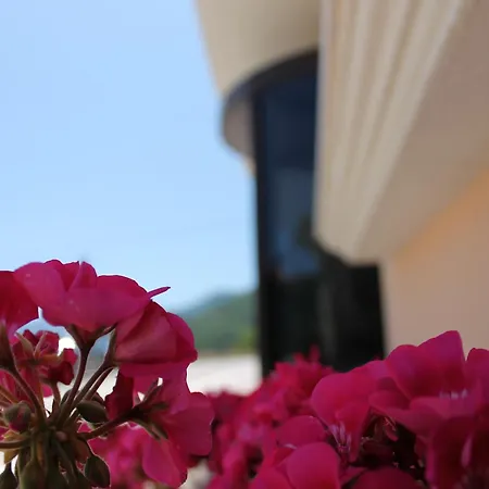 Hotel Hermitage