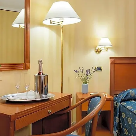فندق Hermitage 4*
