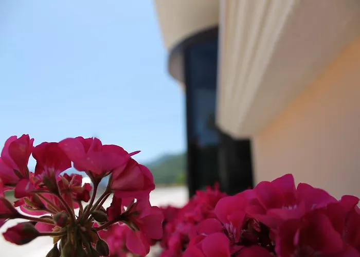 酒店 赫米蒂奇酒店